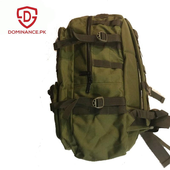 50 L, green colored tough and sturdy backpack/school/laptop/college bag