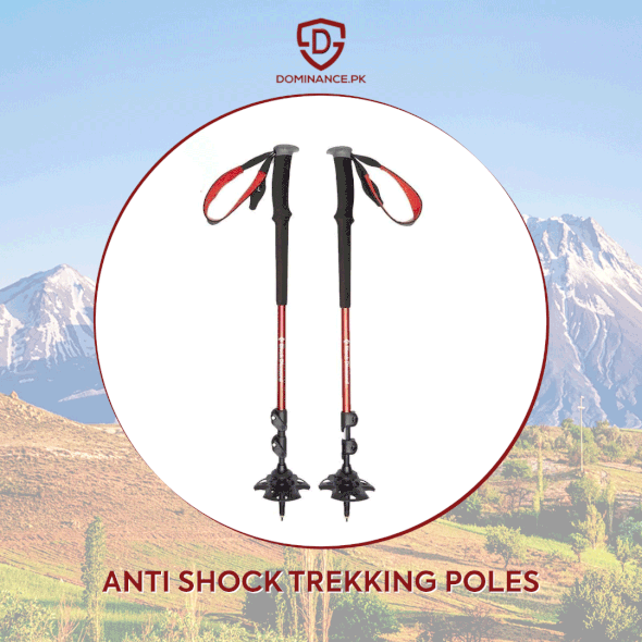 High Quality Trekking/hiking stick/pole